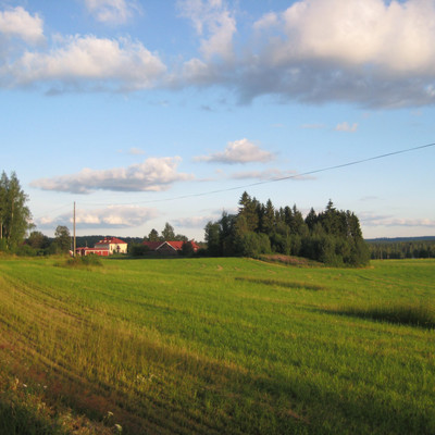 Asikkala grass