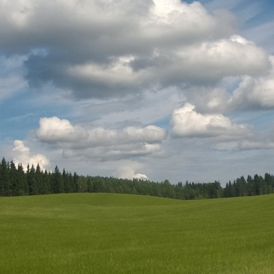 Nummi country view